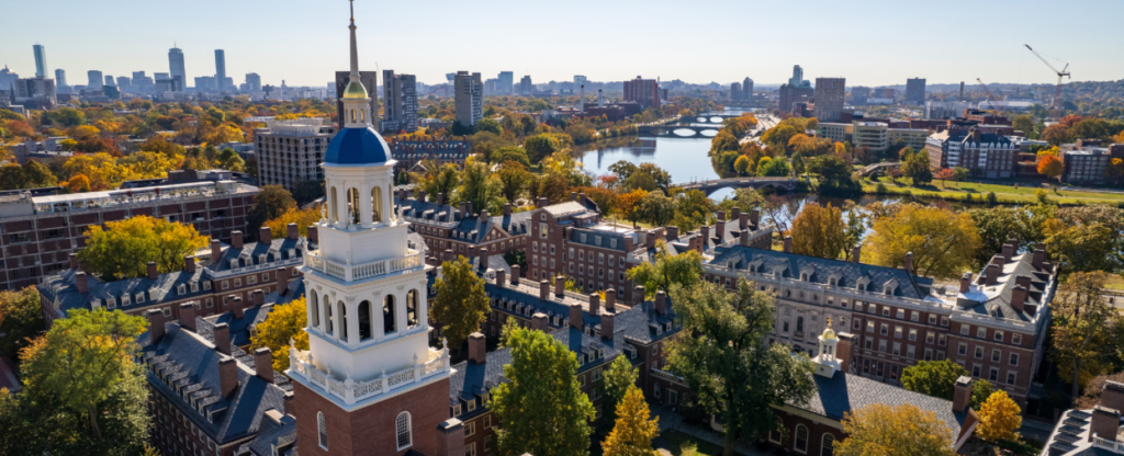 Furniture Assembly Services in Cambridge MA – example installation