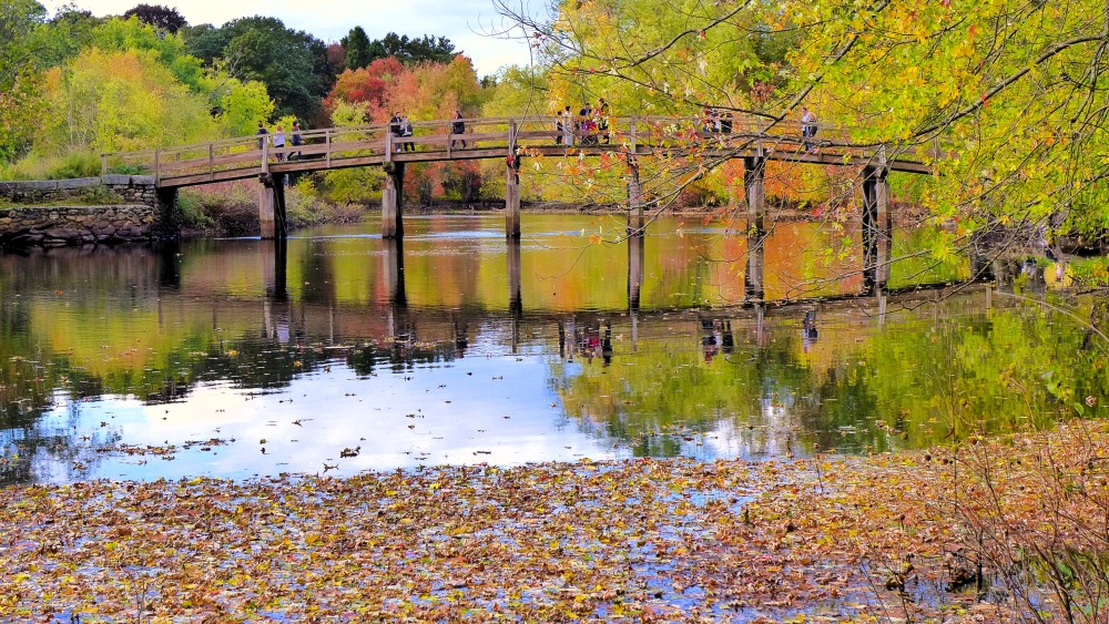 Furniture Assembly Services in Concord MA – example installation